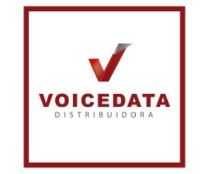 Voicedata